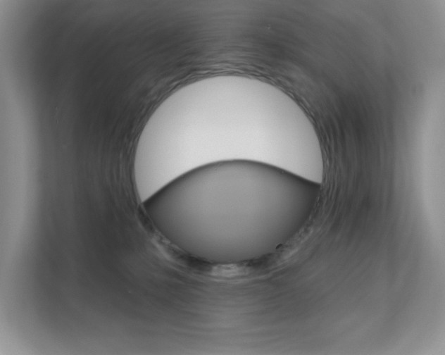 X0000111890231200907231454