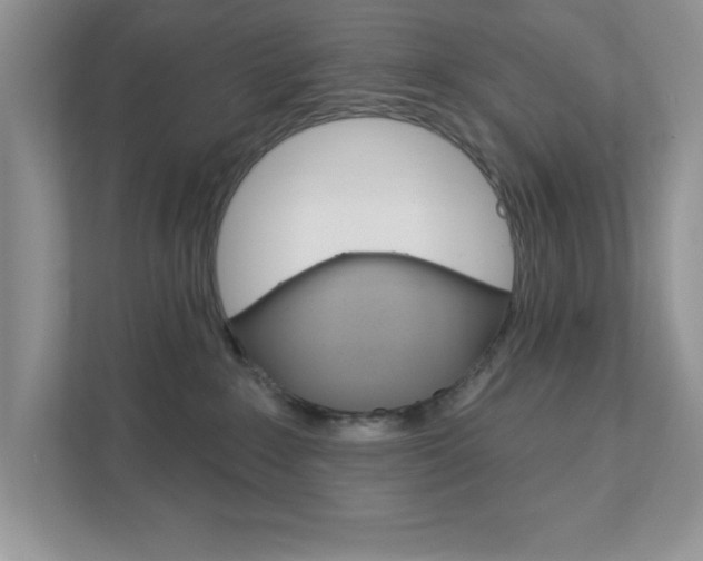 X0000111890235200907231454