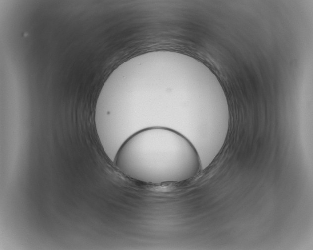 X0000111890237200907231454