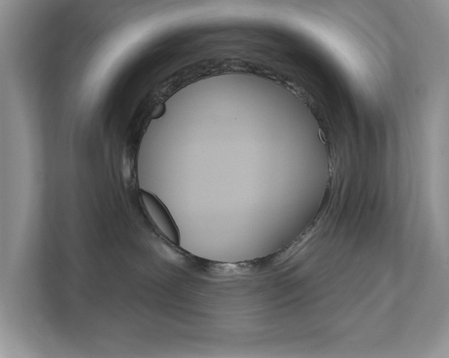 X0000111890239200907231453