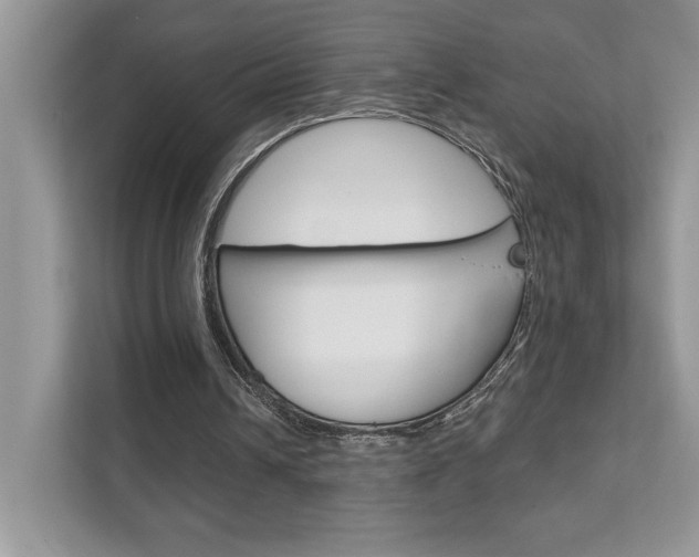 X0000111890242200907231453