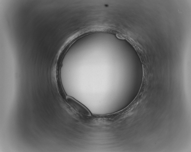 X0000111890244200907231453