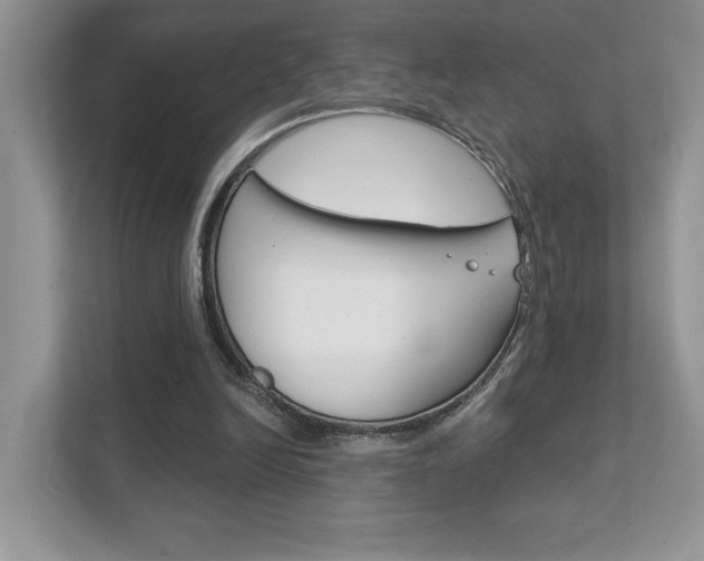 X0000111890246200907231453