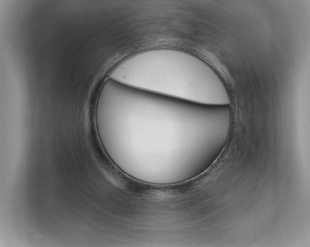 X0000111890250200907231453