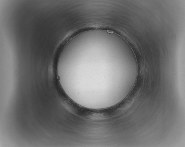 X0000111890256200907231453