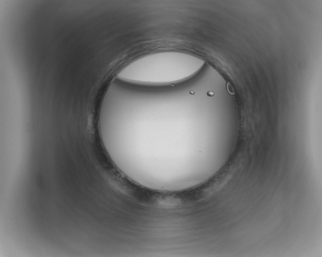 X0000111890258200907231453