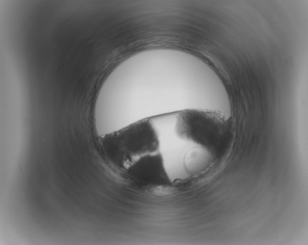 X0000111890261200907231453