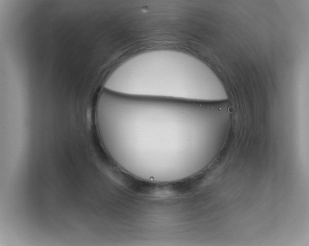 X0000111890262200907231453