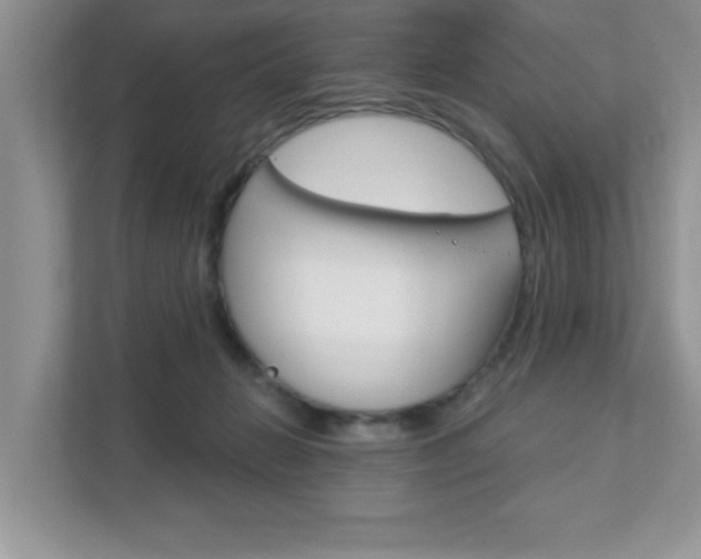 X0000111890270200907231453