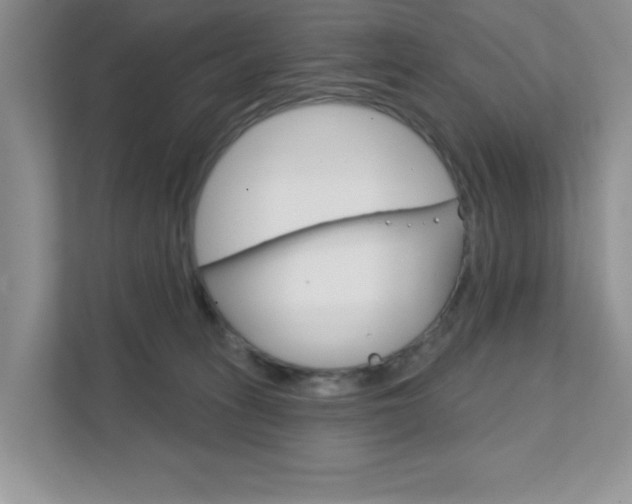 X0000111890275200907231453