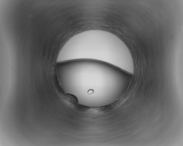 X0000111890280200907231453