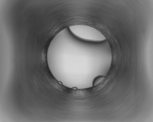 X0000111890282200907231453