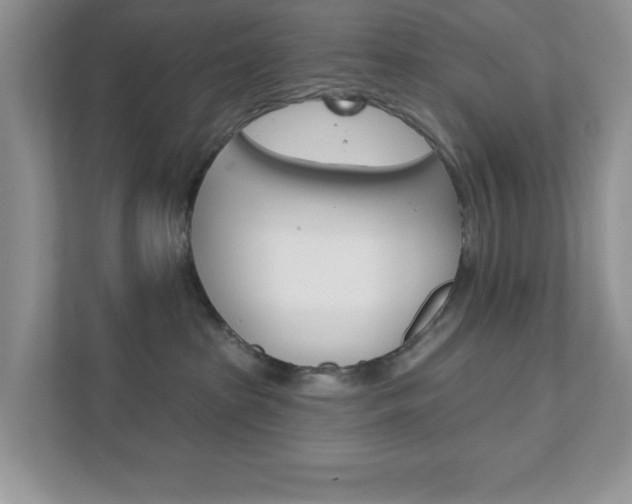 X0000111890285200907231453