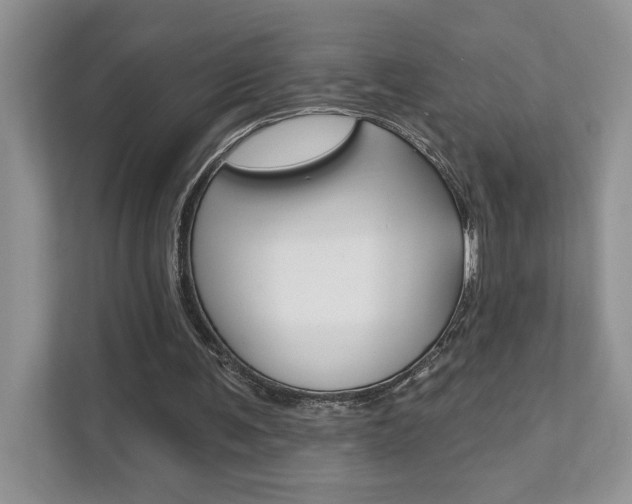 X0000111890291200907231453