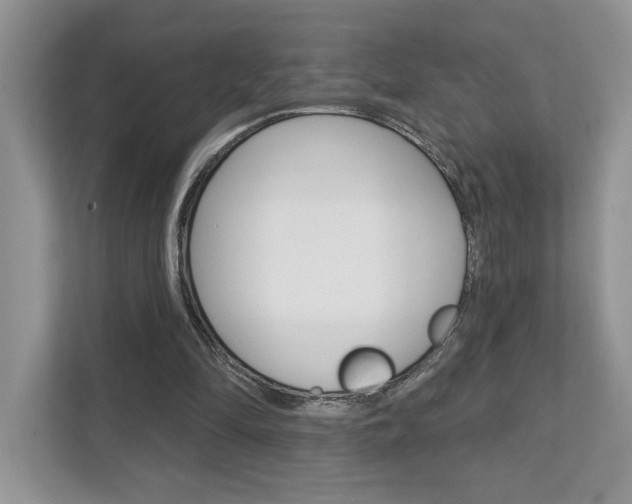 X0000111890294200907231453