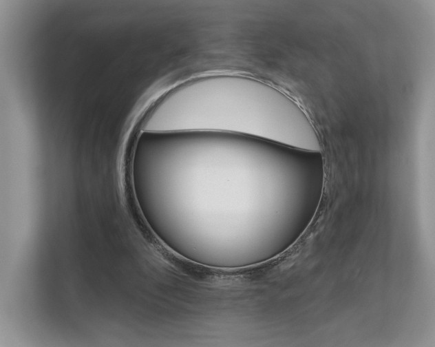X0000111890296200907231453