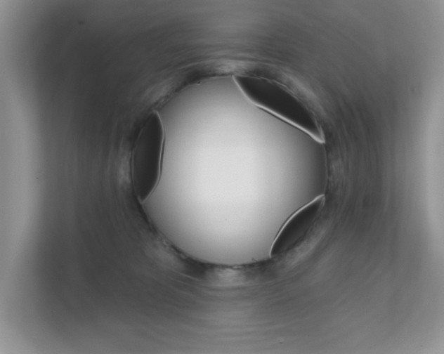 X0000111890325200907231452