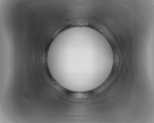 X0000111890326200907231452