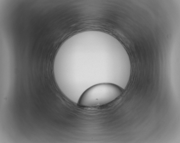 X0000111890327200907231452