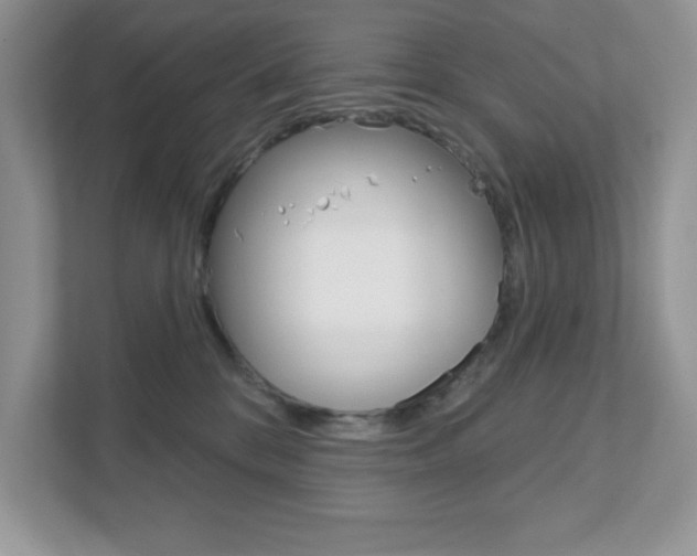X0000111890328200907231452
