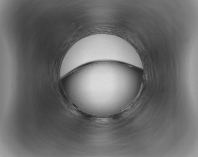 X0000111890332200907231452