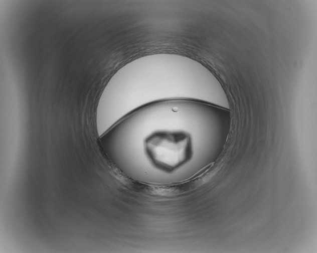 X0000111890336200907231452
