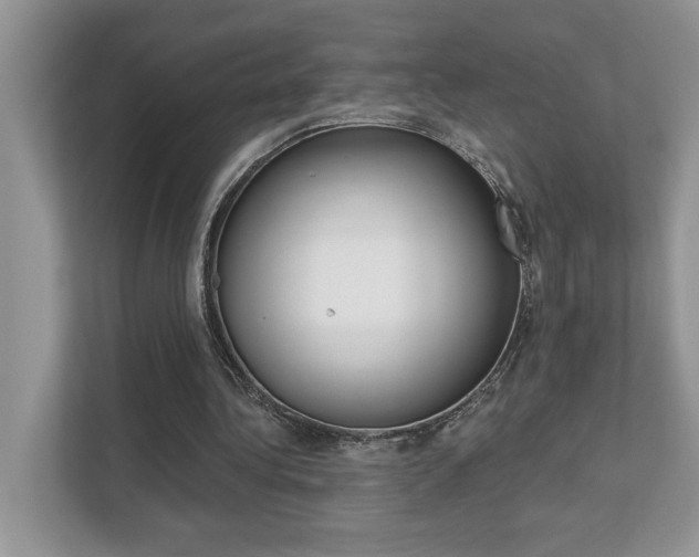 X0000111890340200907231452