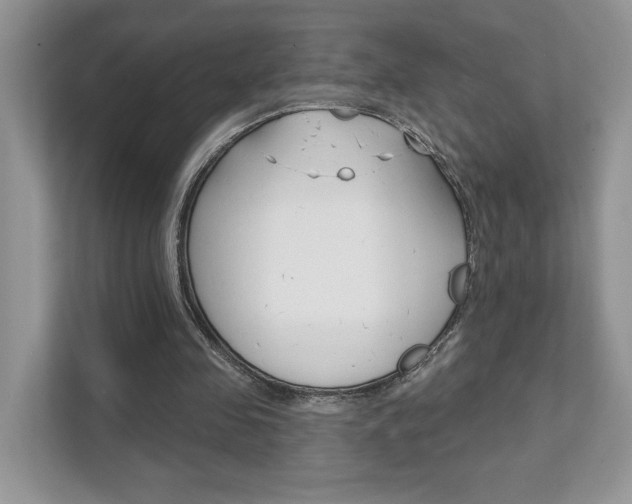 X0000111890341200907231452