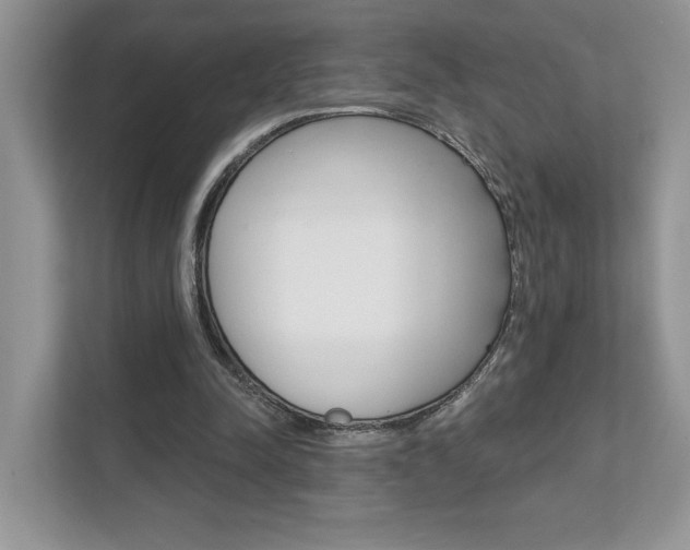 X0000111890342200907231452