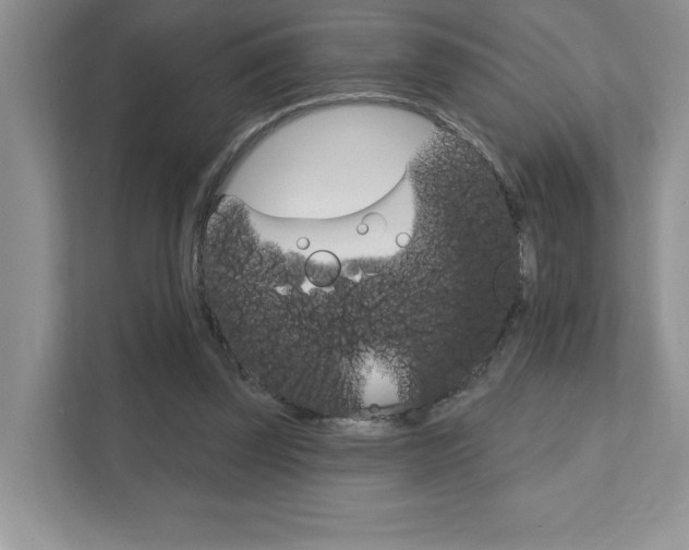 X0000111890347200907231452