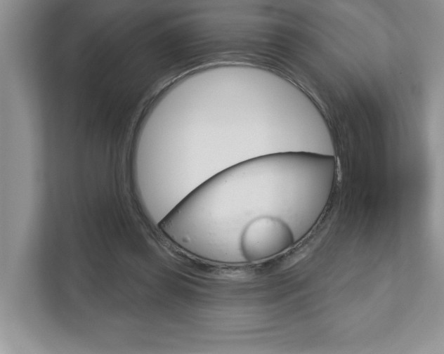 X0000111890349200907231452