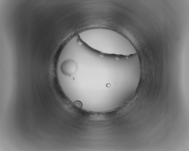 X0000111890354200907231452
