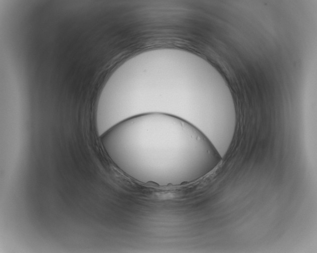 X0000111890356200907231452