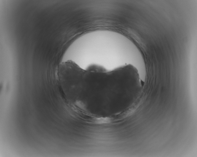X0000111890363200907231452