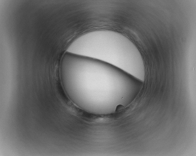 X0000111890364200907231452