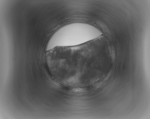 X0000111890367200907231452