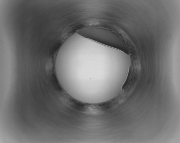 X0000111890372200907231452