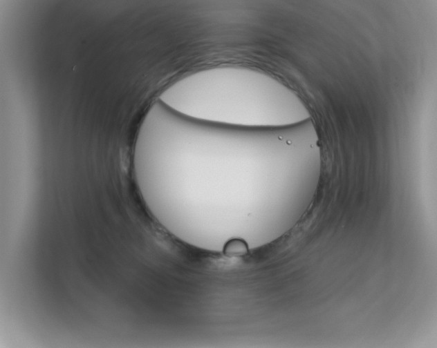 X0000111890374200907231452