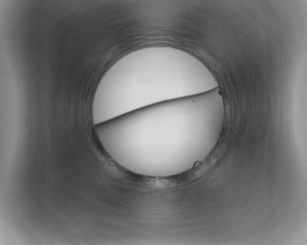 X0000111890379200907231452