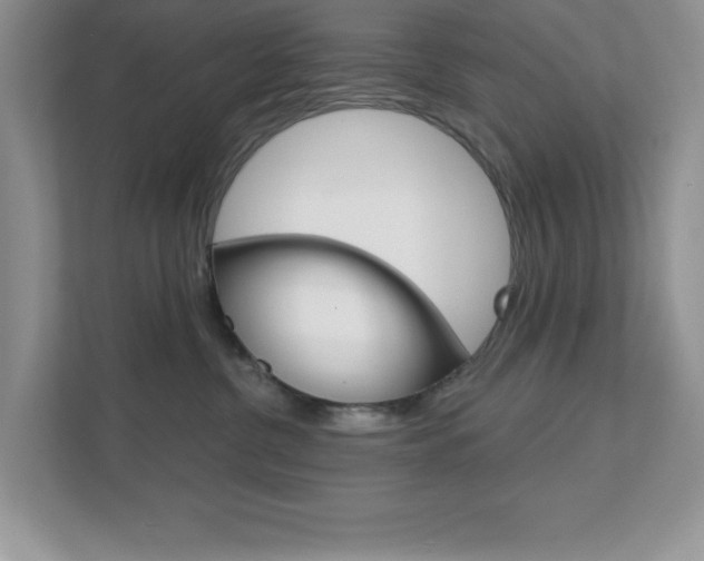 X0000111890380200907231452