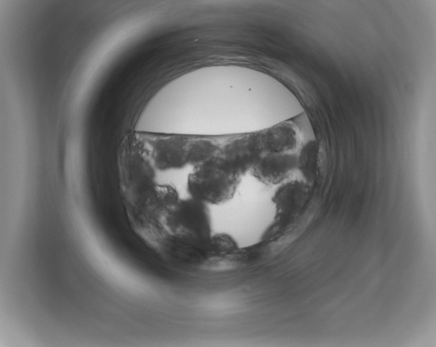 X0000111890381200907231452