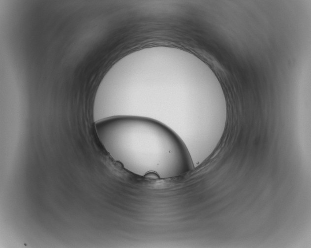 X0000111890382200907231452