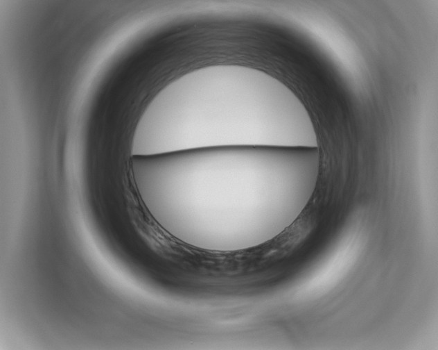X0000111890383200907231452