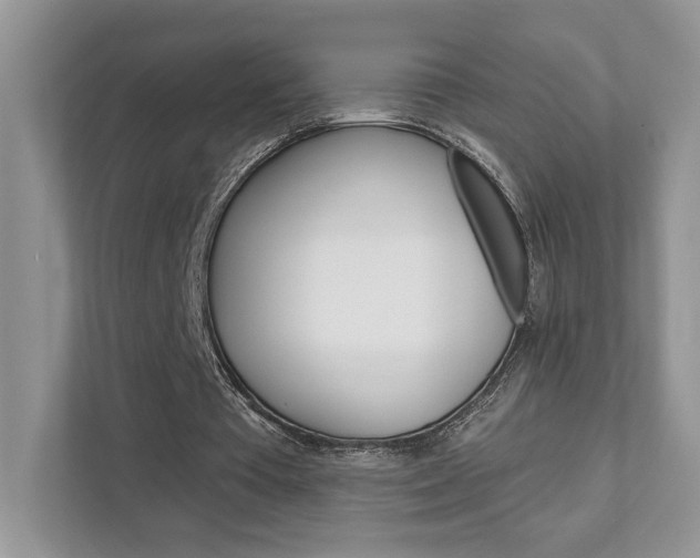 X0000111890385200907231452