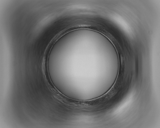 X0000111890387200907231452