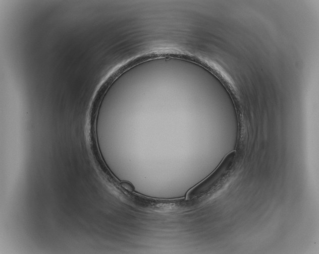 X0000111890391200907231452