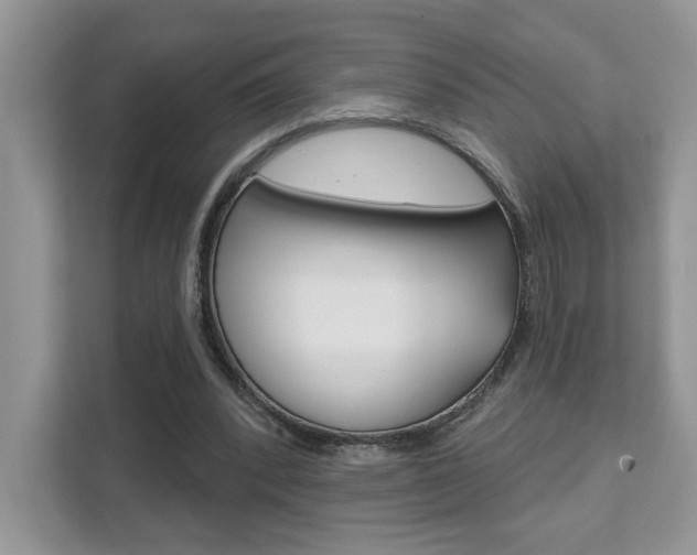 X0000111890392200907231451