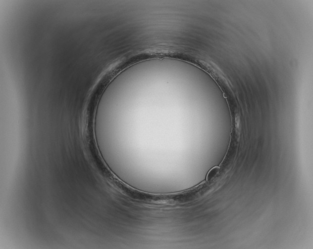X0000111890396200907231451
