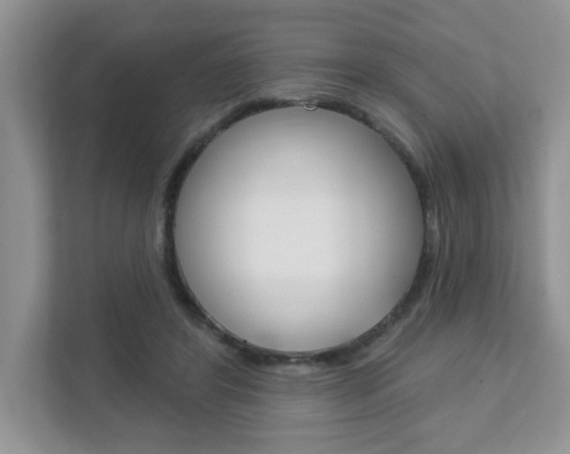 X0000111890404200907231451