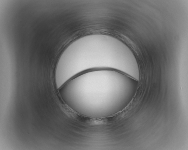 X0000111890405200907231451